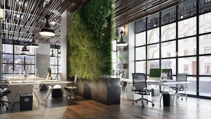 Green Office Environment with Plants