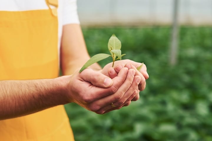 Employee Engagement in Sustainability Programs