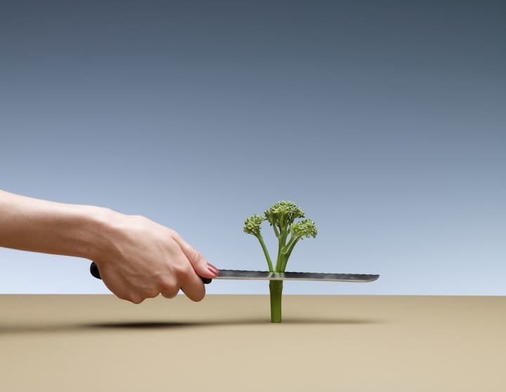 Building Resilience: Bouncing Back from Business Setbacks post image